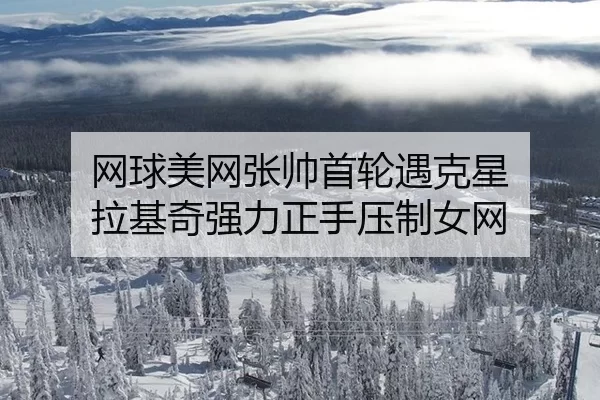 wang-qiu-mei-wang-zhang-shuai-shou-lun-yu-ke-xing-la-ji-qi-qiang-li-zheng-shou-ya-zhi-nv-wang-3-764.jpg